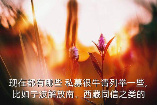 現(xiàn)在都有哪些 私募很牛請列舉一些,比如寧波解放南、西藏同信之類的