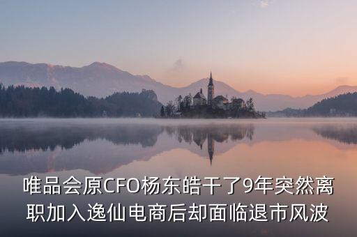 唯品會原CFO楊東皓干了9年突然離職加入逸仙電商后卻面臨退市風(fēng)波