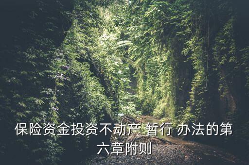 保險(xiǎn)資金投資不動產(chǎn) 暫行 辦法的第六章附則