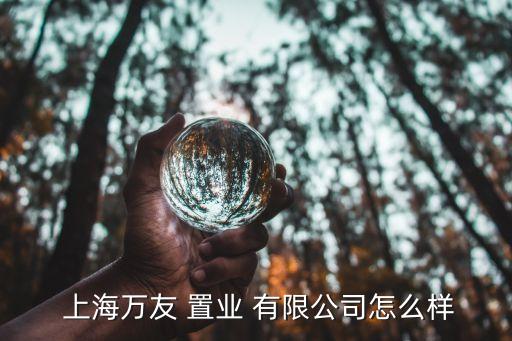  上海萬(wàn)友 置業(yè) 有限公司怎么樣