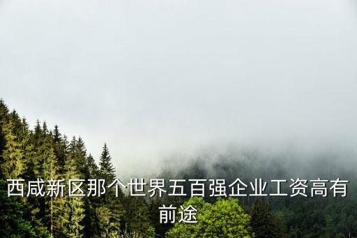 西咸新區(qū)那個世界五百強企業(yè)工資高有前途