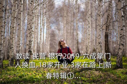 數(shù)讀 民營(yíng) 銀行2019:六成掌門人換血,18家開業(yè),3家在路上|新春特輯①...