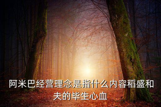  阿米巴經(jīng)營(yíng)理念是指什么內(nèi)容稻盛和夫的畢生心血