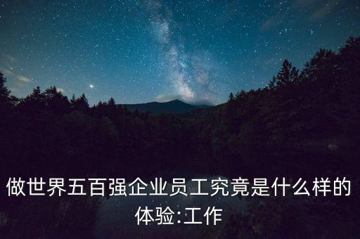 全球前百公司的待遇,標(biāo)普全球公司待遇