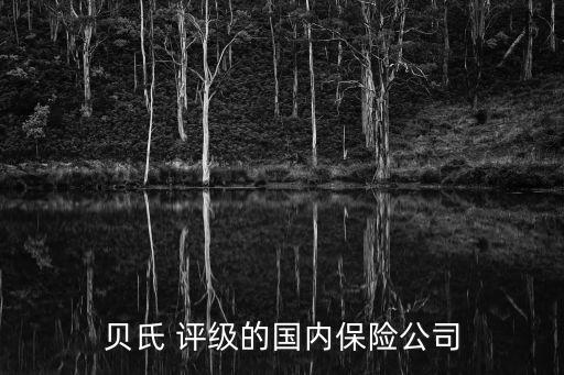 貝氏 評(píng)級(jí)的國(guó)內(nèi)保險(xiǎn)公司