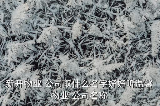 新開(kāi)物業(yè) 公司取什么名字好好聽(tīng)溫馨物業(yè) 公司名稱