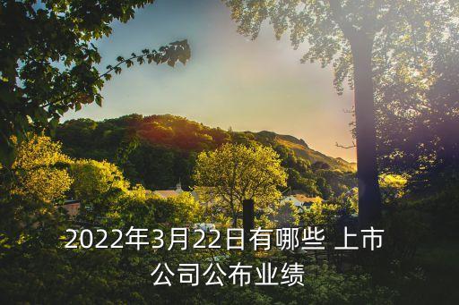 2022年3月22日有哪些 上市 公司公布業(yè)績