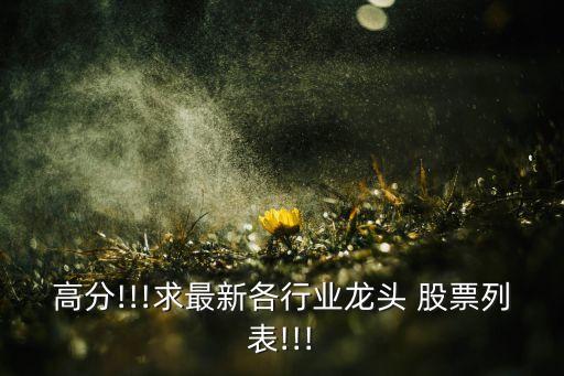 承德露露股票前景,000848承德露露股票