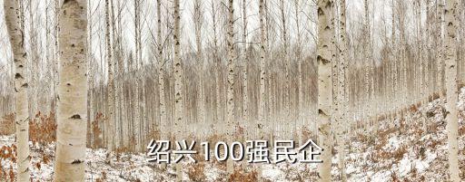  紹興100強(qiáng)民企