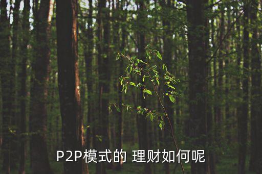 P2P模式的 理財(cái)如何呢