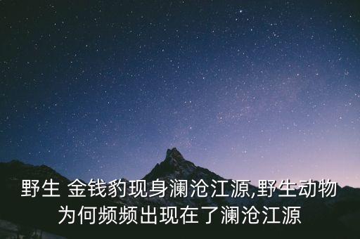 野生 金錢豹現身瀾滄江源,野生動物為何頻頻出現在了瀾滄江源