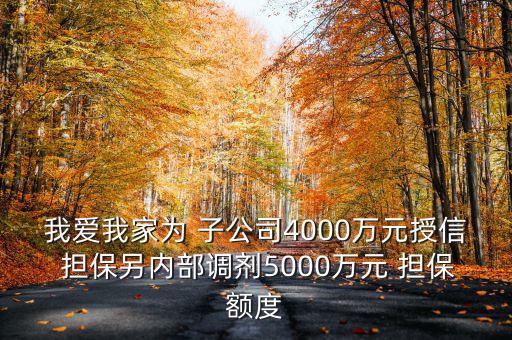 我愛我家為 子公司4000萬(wàn)元授信 擔(dān)保另內(nèi)部調(diào)劑5000萬(wàn)元 擔(dān)保額度