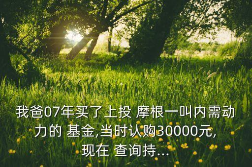 我爸07年買了上投 摩根一叫內需動力的 基金,當時認購30000元,現(xiàn)在 查詢持...