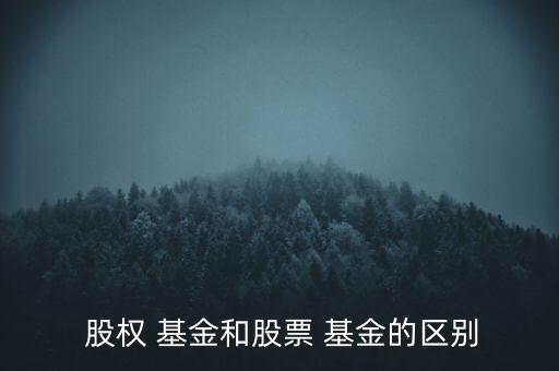 股權投資基金是什么意思,壹澤股權投資基金是什么公司