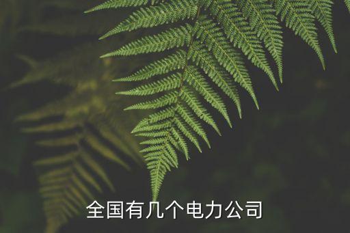 全國(guó)有幾個(gè)電力公司