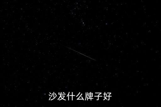 沙發(fā)什么牌子好