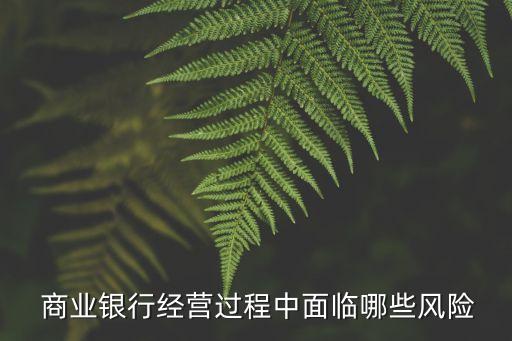  商業(yè)銀行經(jīng)營過程中面臨哪些風(fēng)險