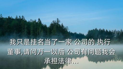 我只是掛名當(dāng)了一家 公司的 執(zhí)行 董事,請(qǐng)問萬一以后 公司有問題我會(huì)承擔(dān)法律...