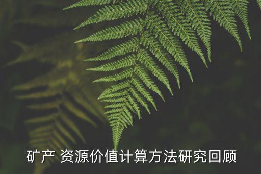  礦產(chǎn) 資源價(jià)值計(jì)算方法研究回顧