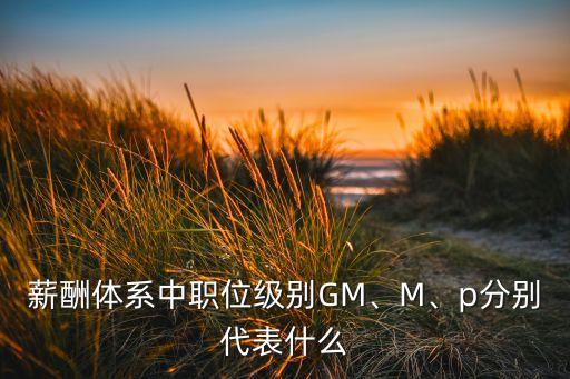 薪酬體系中職位級別GM、M、p分別代表什么