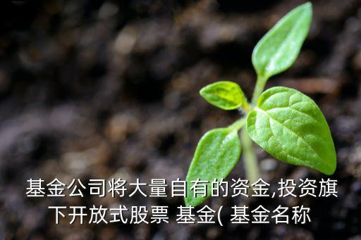  基金公司將大量自有的資金,投資旗下開放式股票 基金( 基金名稱